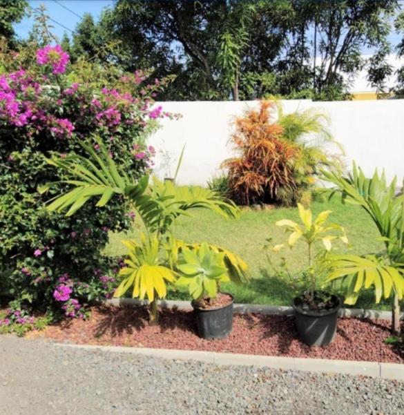 Jolie Maison T3 A St Pierre, 2 Chambres Avec Sdb, Grande Varangue, Jardin サン・ピエール エクステリア 写真
